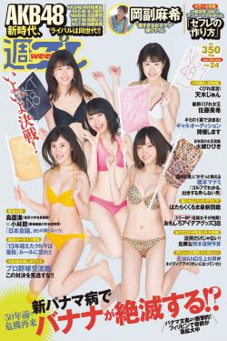 坏蛋2